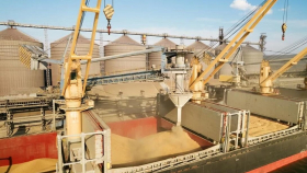 Экспорт зерна из России почти не пострадал от проблем в Красном море
